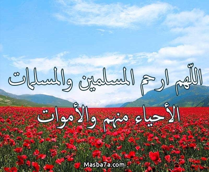 مؤمن عبد السميع عيسي