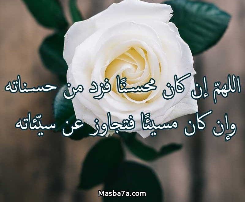 مؤمن عبد السميع عيسي